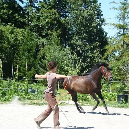 Gite Lumineux A L'Ecodomaine Equin Apartment